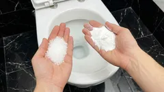 Sůl a soda na toaletě: proč to instalatéři doporučují a k čemu je to dobré