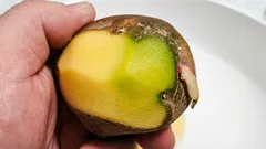 Zelené brambory: lze je jíst a proč taková jsou?