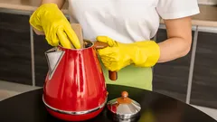 Tajemství dokonale čisté konvice: dvě přírodní ingredience dělají zázraky