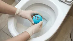 Jak vyčistit toaletu, aniž byste se jí dotkli: tento domácí prostředek vám usnadní úklid