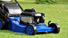 Proč nesekat trávu po dešti nebo po zalévání: 6 nežádoucích následků