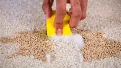 Koberec bude jako nový za 10 minut: účinný trik bez vyklepávání prachu a bez vysavače