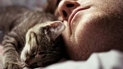 Nejde jen o zvyk: zoolog vysvětlil, proč kočky spí vedle svého majitele