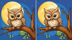 Test pozornosti: dokážete najít všechny rozdíly na obrázku sovy na stromě?