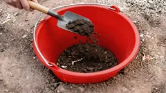 Proč zakopat kbelík uprostřed záhonu: zahradnický trik, o kterém ví jen málokdo