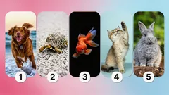 Co o vás prozrazuje výběr domácího mazlíčka: test, který odhalí vaši osobnost
