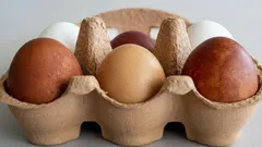 3 způsoby, jak poznat, že vejce v ledničce jsou již zkažená – je to jednodušší, než se zdá