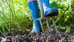 Zahrada v březnu: 4 mimořádně důležité práce, které musíte stihnout do konce měsíce