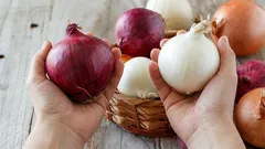 Málokdo ví, jaký je nejdůležitější rozdíl mezi bílou a červenou cibulí