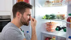 Lednice bude vonět svěžestí i bez kupované chemie: pomůže obyčejná miska