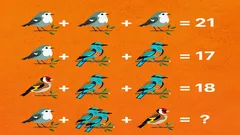 Správnou odpověď najde jen génius: překvapivě složitá hádanka