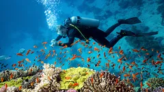 Podmořská tajemství: 6 míst, kam se potápěči z celého světa v roce 2026 touží dostat