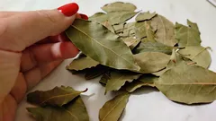 Takhle pomáhá bobkový list omládnout: efekt je vidět už za pár dní