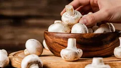 Zůstanou čerstvé celý týden: farmářka prozradila trik, který uchová houby