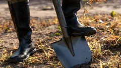 V dubnu je potřeba posypat zahradu tímto hnojivem: půda bude 10× úrodnější