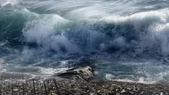 Asteroid vyvolal megatsunami u pobřeží Evropy: kde a kdy k tomu došlo?