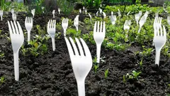 Sousedé se smáli, dokud neviděli výsledek: k čemu jsou na zahradě potřeba vidličky?