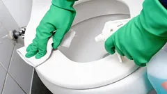Toaleta bude svěže vonět i bez osvěžovače vzduchu: rychlý způsob bez chemie