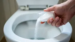 Obyčejná sůl rozpustila ucpání v záchodě za 10 minut: kolik jí nasypat?