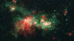 Teleskop Jamese Webba poprvé odhalil skryté obyvatele vesmíru v dosud neviditelné oblasti W51