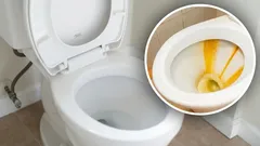Letitý nános z toalety zmizel: pomohla domácí směs ze tří látek
