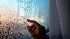 Okna se přestanou rosit a plesnivět: 4 jednoduché způsoby, jak bojovat s kondenzací