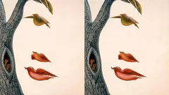 Na co se vám oči přilepí jako první? Krátký test, který může pojmenovat vaši potřebu