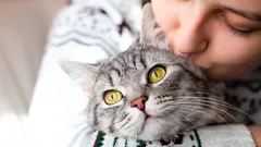 Více než něžnosti: jak kočky doopravdy vnímají naše polibky a objetí?